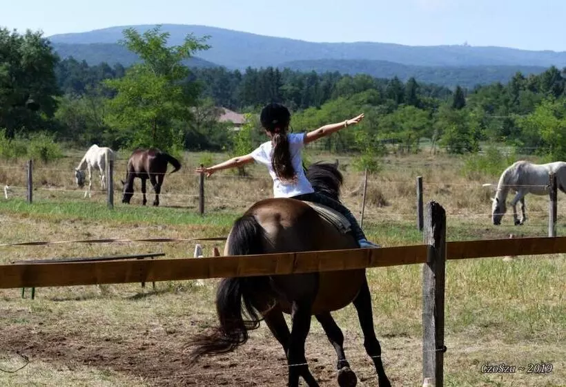 Majatalo Derű Vendégház és Lovasudvar