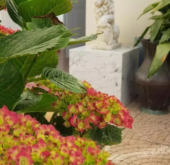 Majatalo Locanda Elena