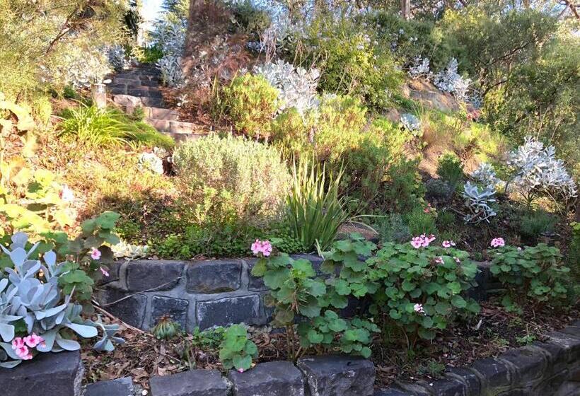 بنسيون The Green Room Wattle Glen