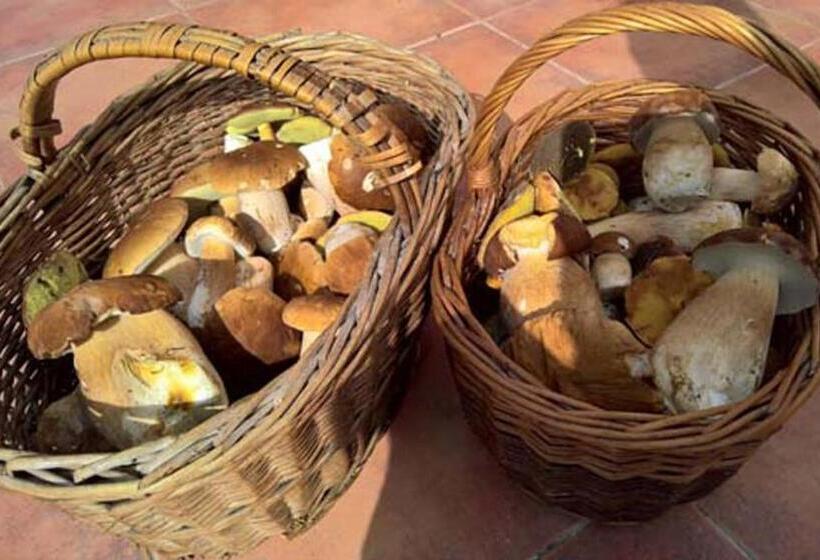 Apartmány U Orlického Jezera   Kamenice