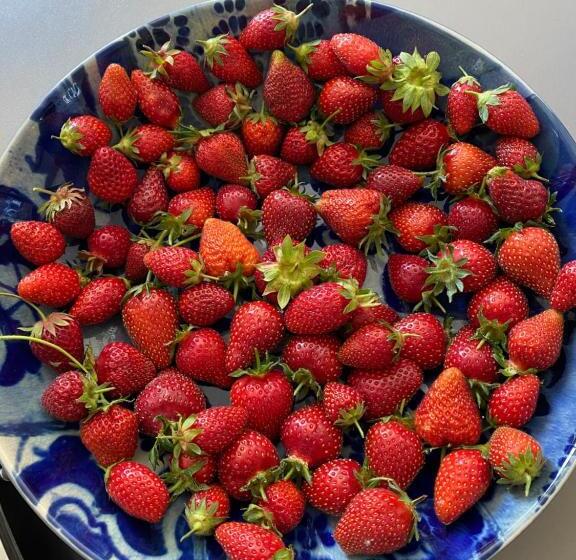 ベッドアンドブレックファースト Casa Sorriso