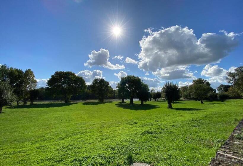 ベッドアンドブレックファースト Casa Sorriso