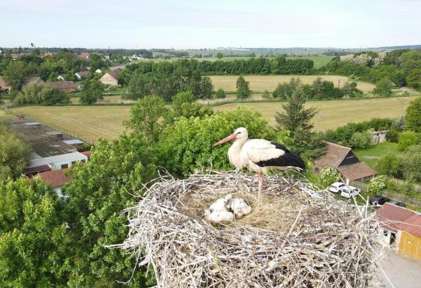 בית מלון כפרי Pivovarský