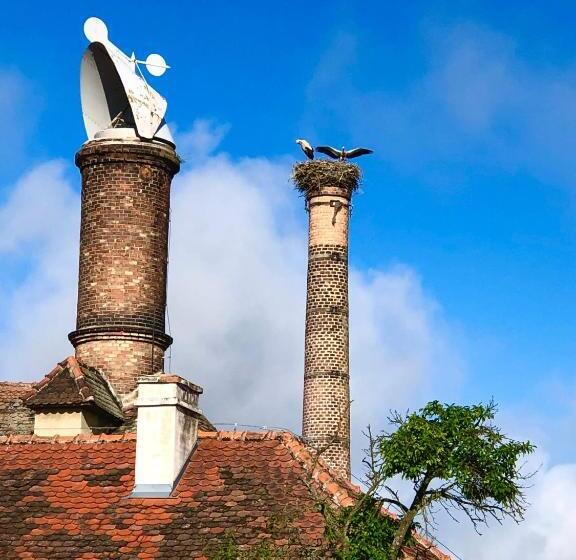 בית מלון כפרי Pivovarský