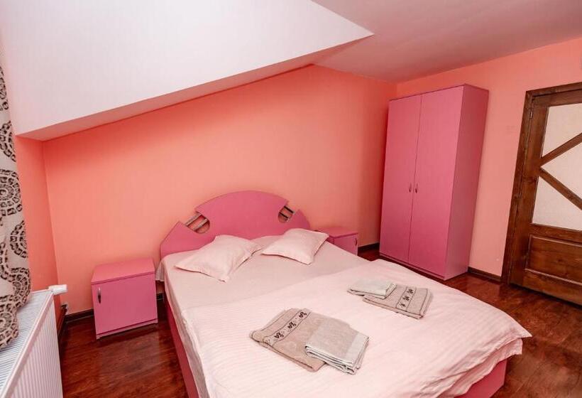 Pensjonat Complex Stefanesti