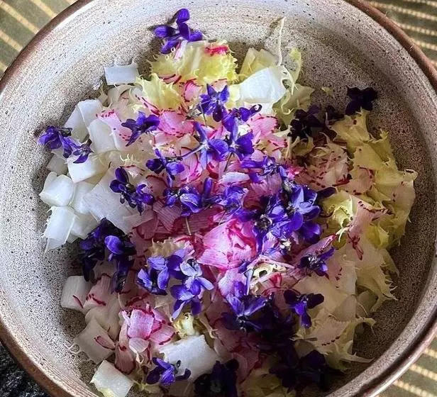 Majatalo Maison D Hôtes La Doucelle