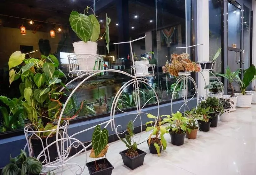 Urbanview Hotel Umbrella Dieng By Reddoorz