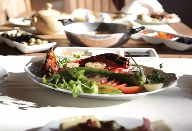 Hotelli Aphrodisias Dandalos