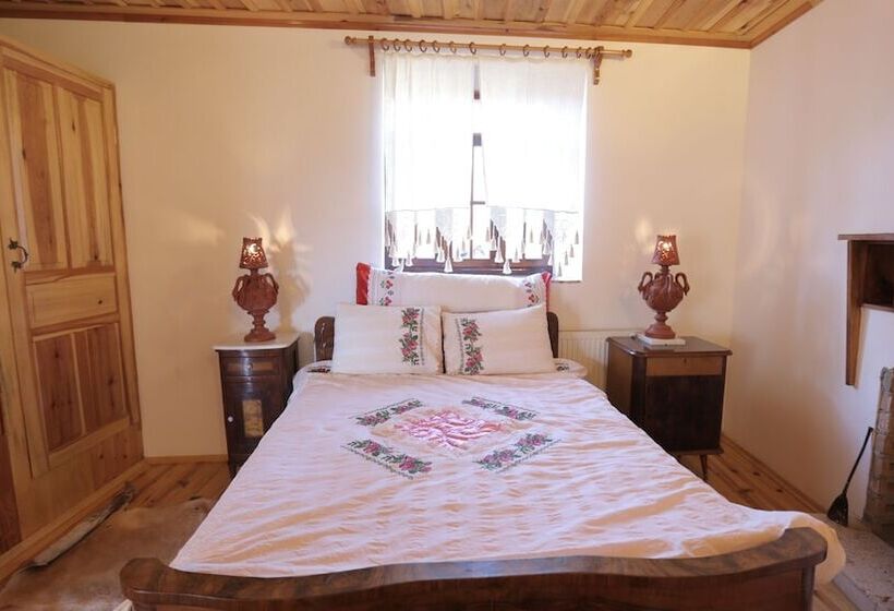 酒店 Aphrodisias Dandalos