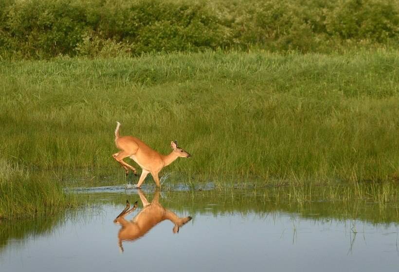 ホテル Grantsburg Inn