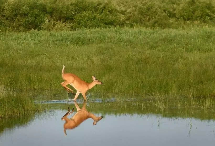 ホテル Grantsburg Inn