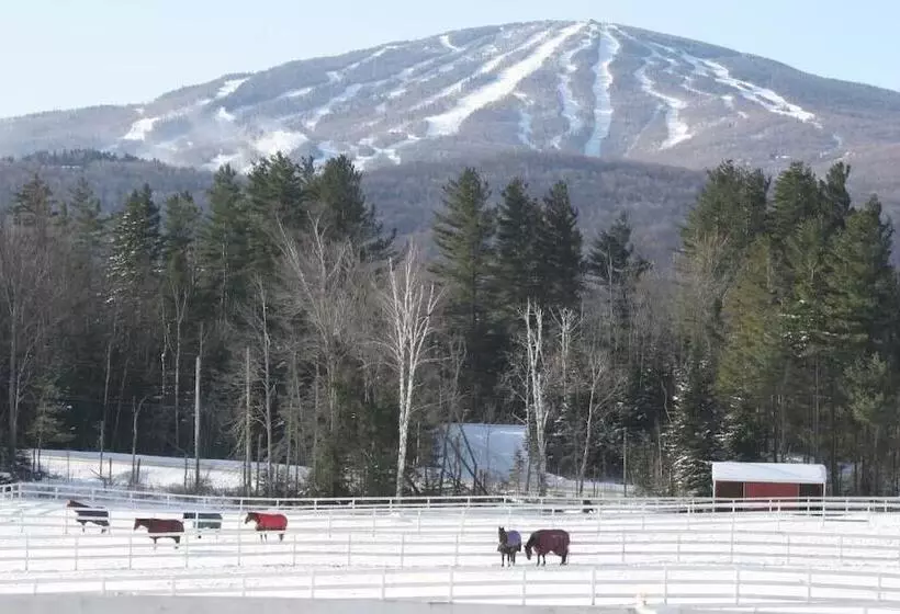 Hotelli Three Mountain Inn