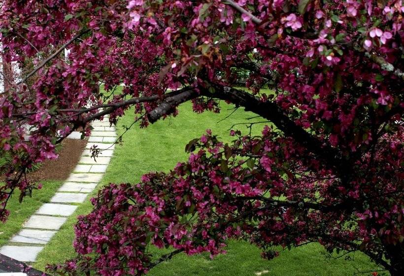 호텔 Three Mountain Inn