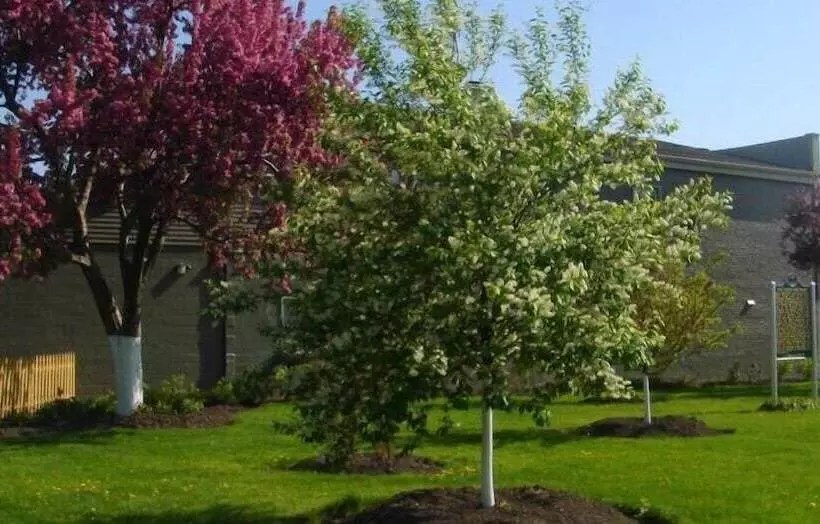 Hotelli Veterans Park