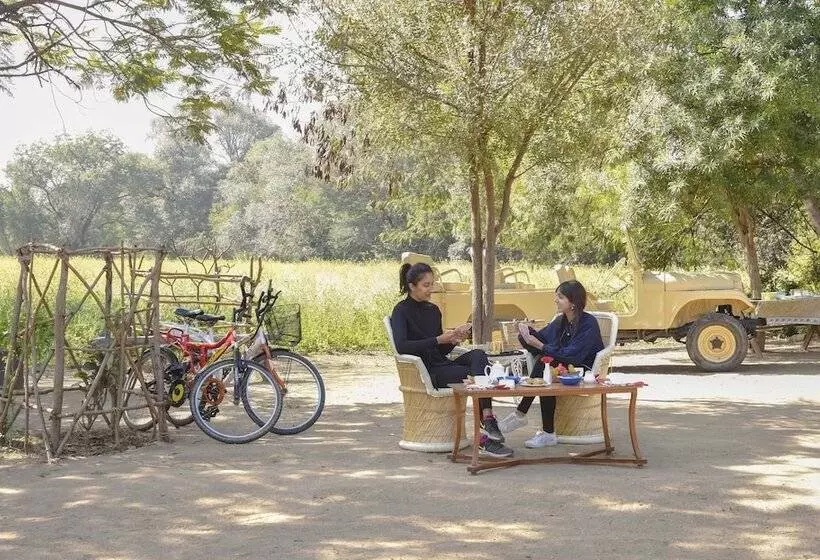 ホテル Shahpura Bagh