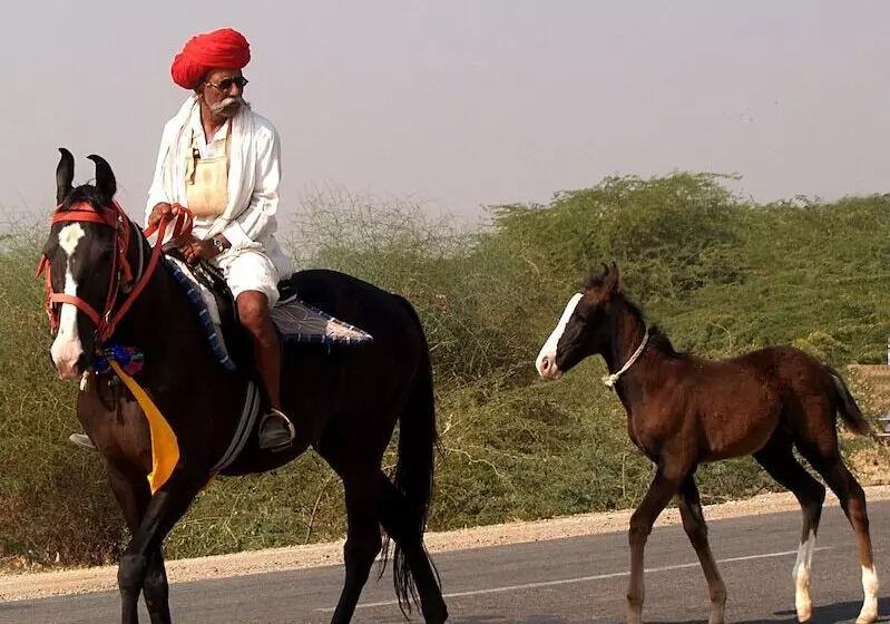 ホテル Shahpura Bagh
