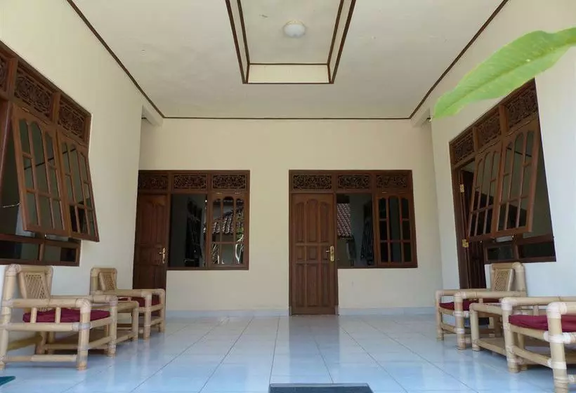 Bed and Breakfast Citrus Tree Arik