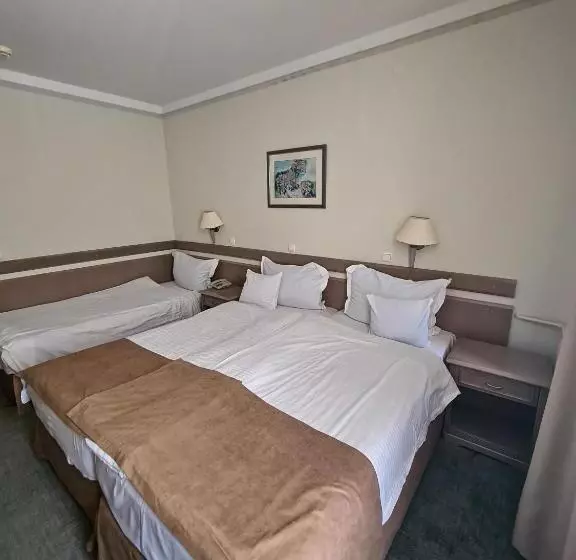 هتل Bellevue Metropol Lake Resort