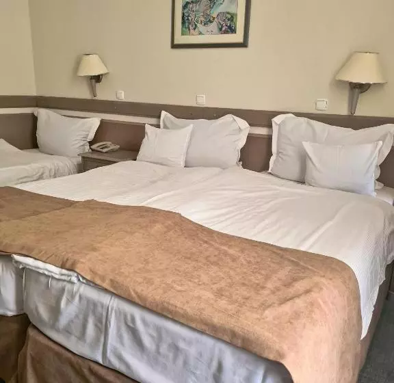 هتل Bellevue Metropol Lake Resort