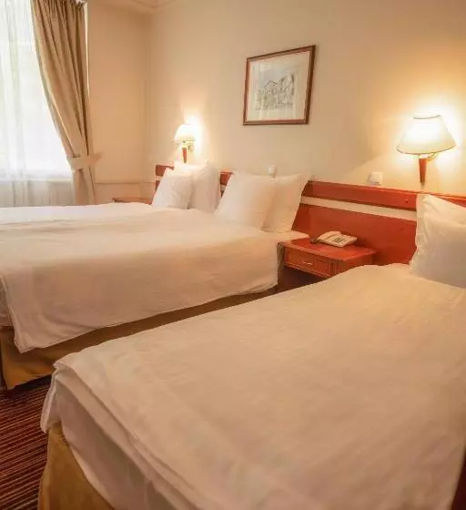 هتل Bellevue Metropol Lake Resort