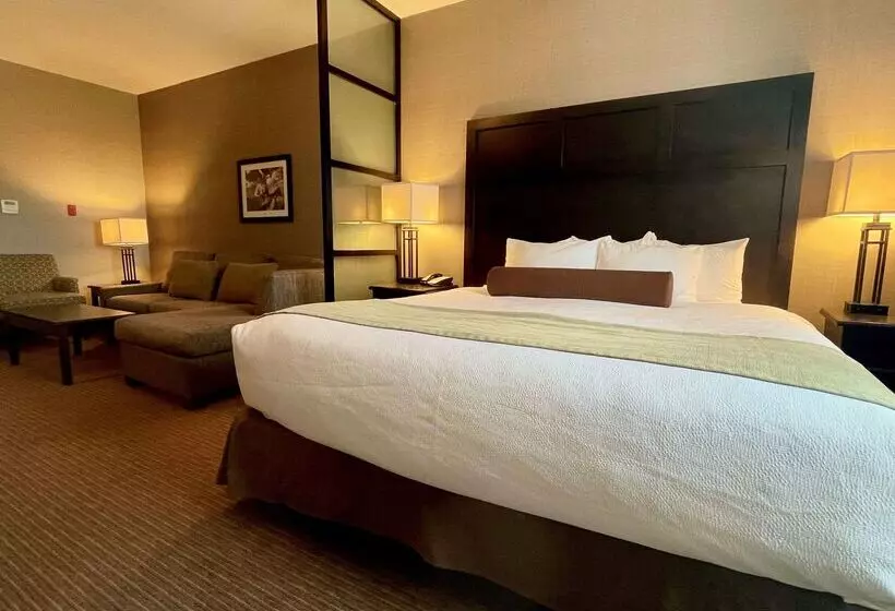 酒店 Best Western Plus Okotoks Inn & Suites