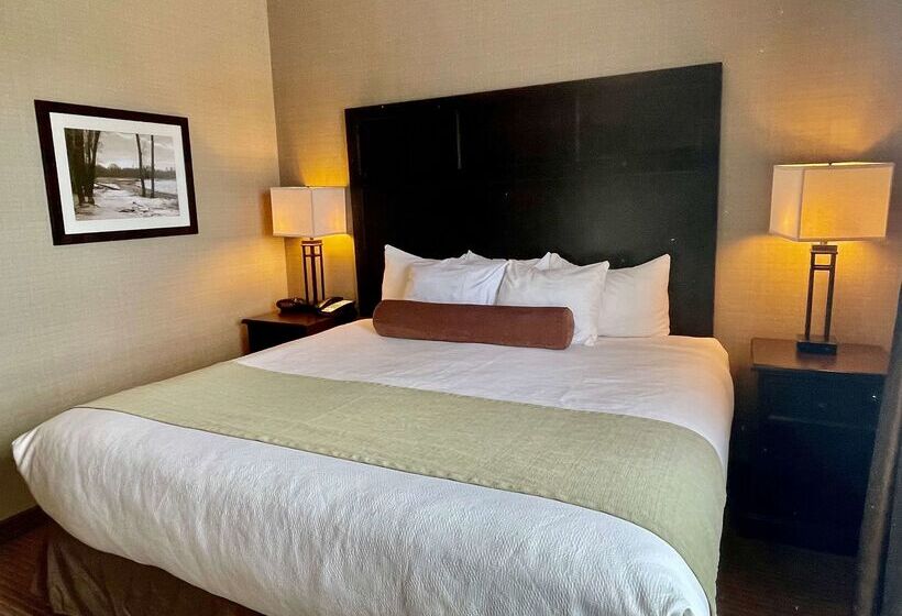 호텔 Best Western Plus Okotoks Inn & Suites