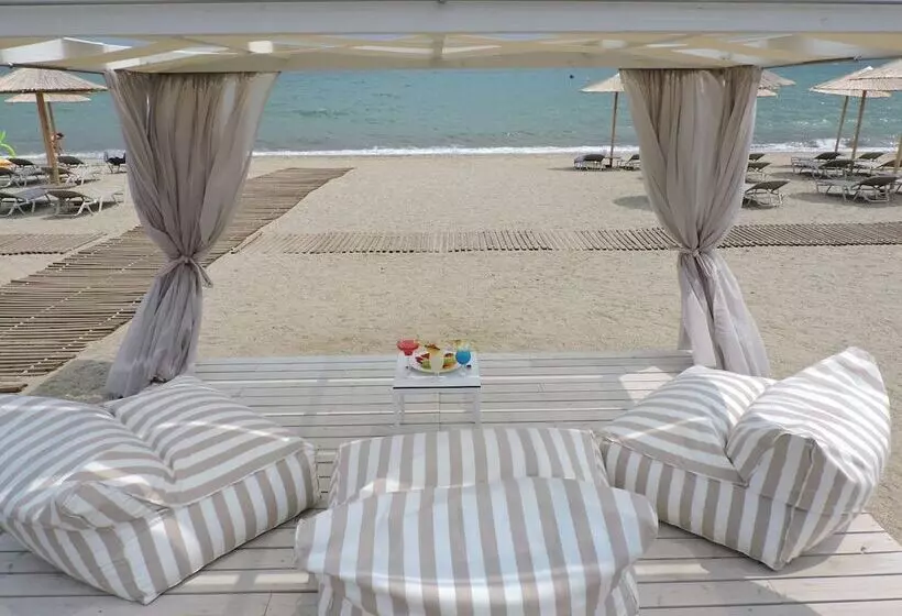 酒店 Blue Lagoon Princess   All Inclusive