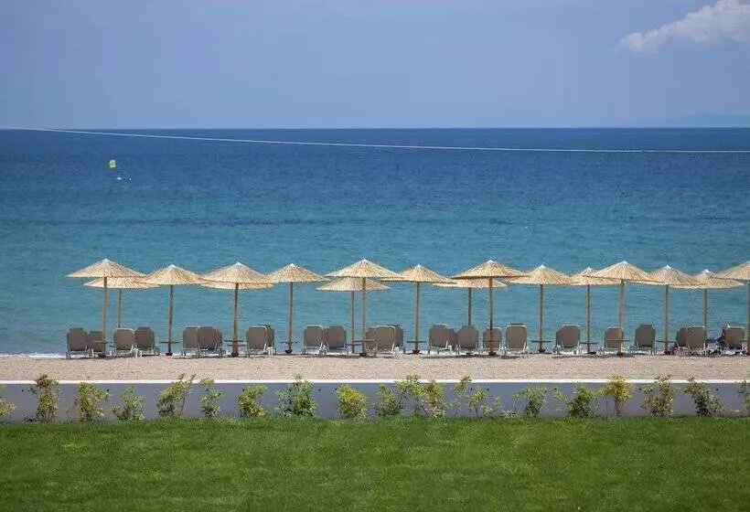 酒店 Blue Lagoon Princess   All Inclusive