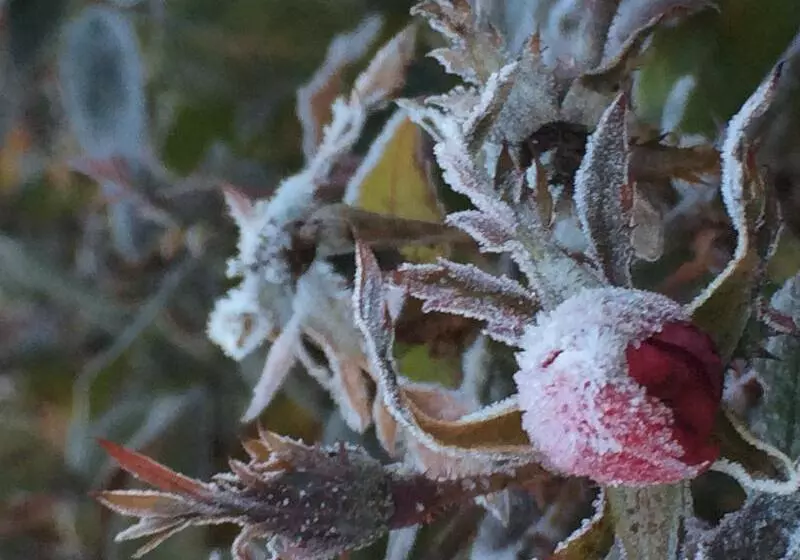 酒店 Ca Tessera Venice Airport
