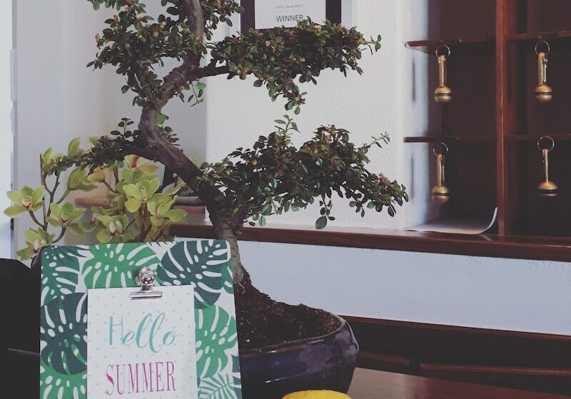 Отель Paradise Relais Villa Janto