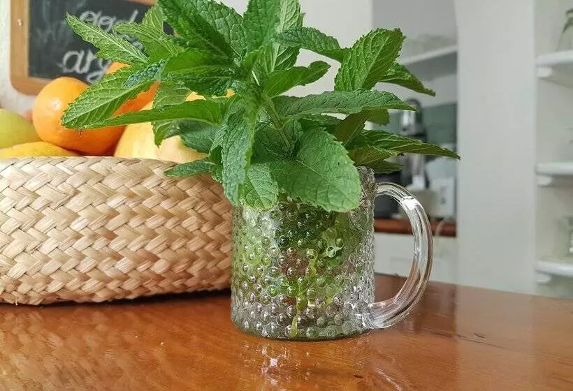 Otel Paradise Relais Villa Janto