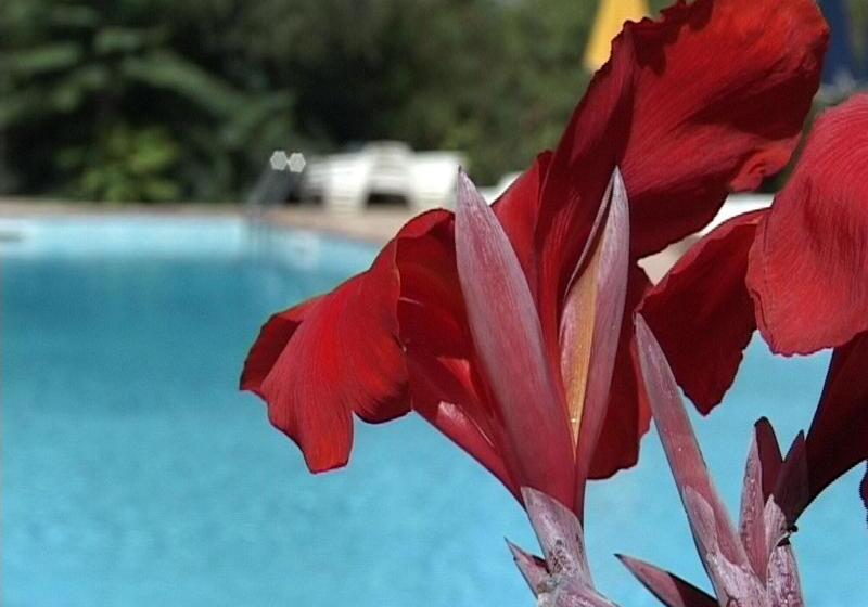 فندق ريفى Villa Tasca