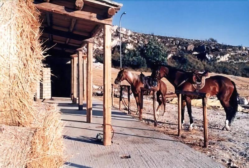 فندق ريفى Villa Tasca