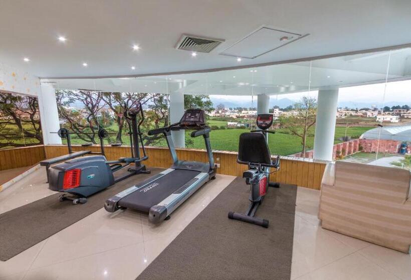 هتل The Solitaire