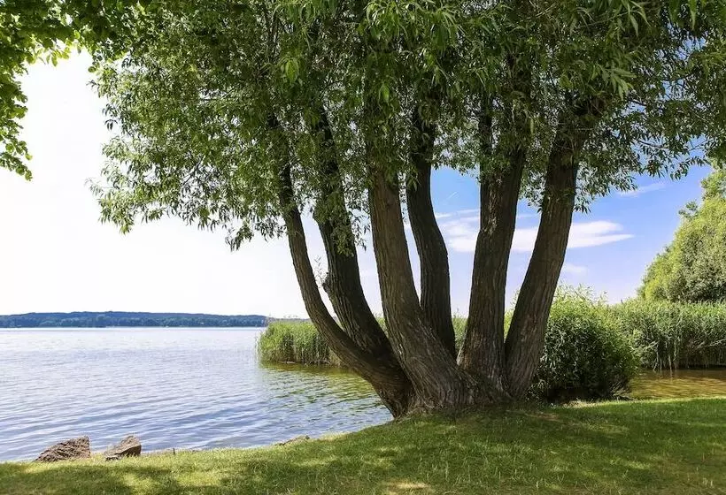 Schlosspark Bad Saarow