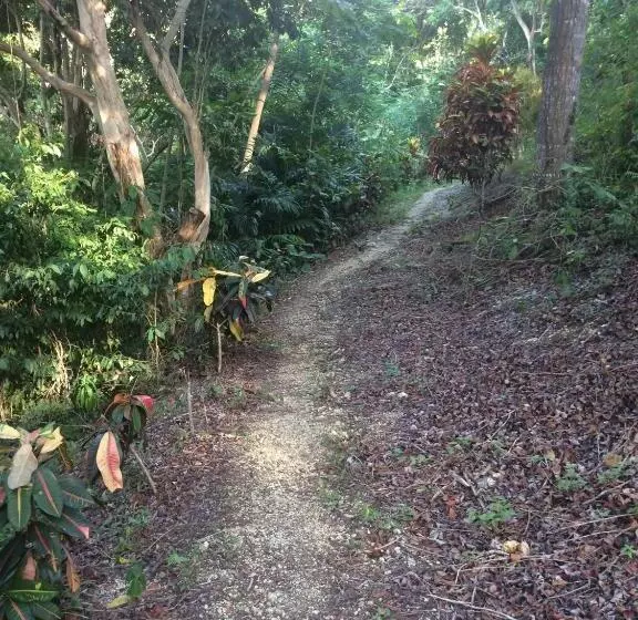 Teresinajamaica