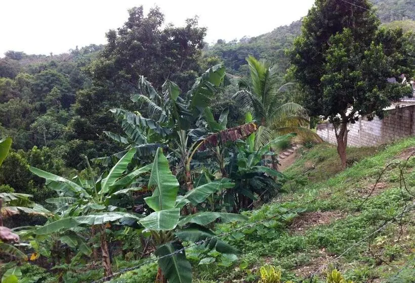 Teresinajamaica
