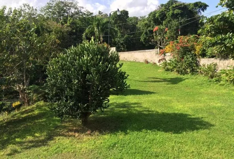 Teresinajamaica