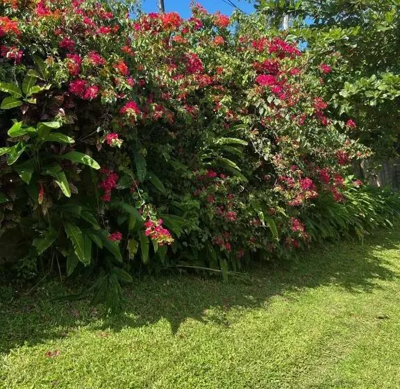 Teresinajamaica