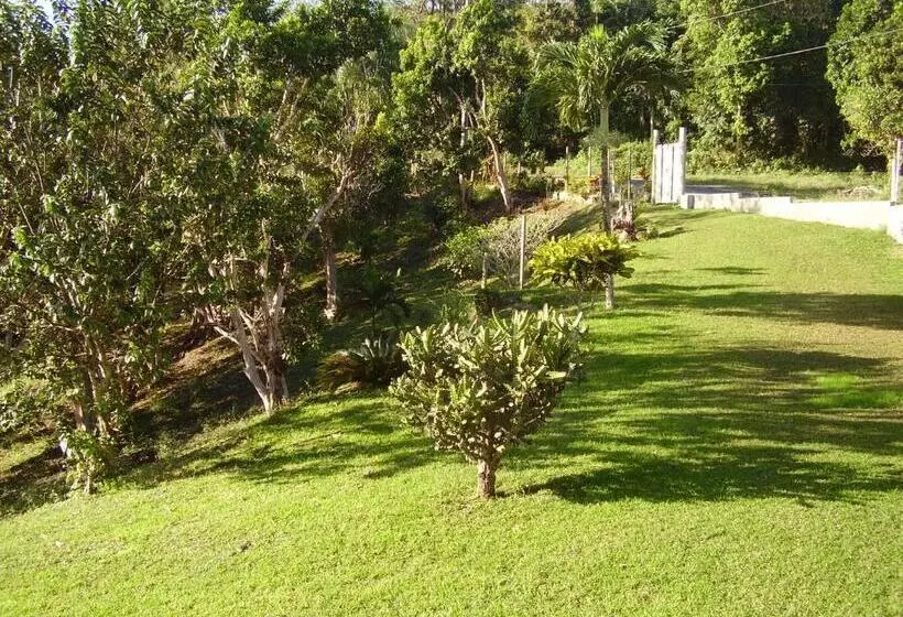 Teresinajamaica