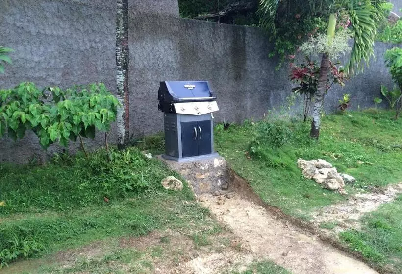 Teresinajamaica
