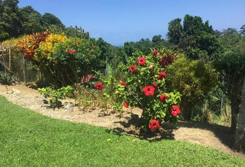Teresinajamaica