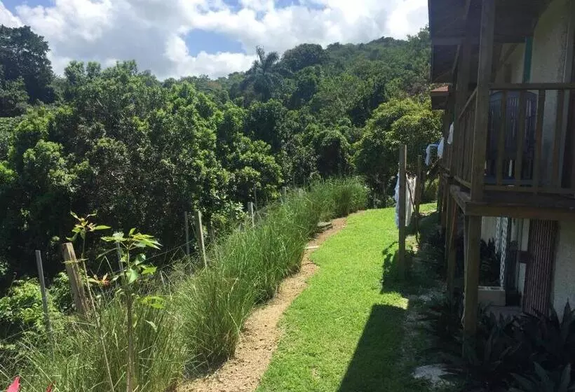 Teresinajamaica