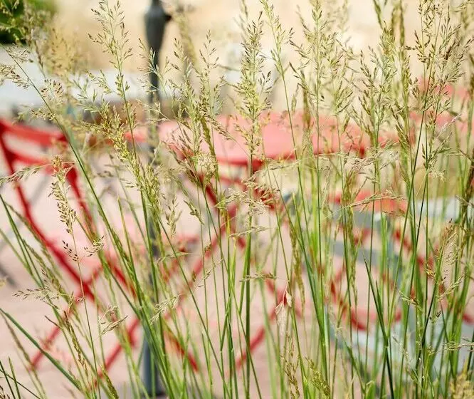 Hotelli Château La Mothe Du Barry