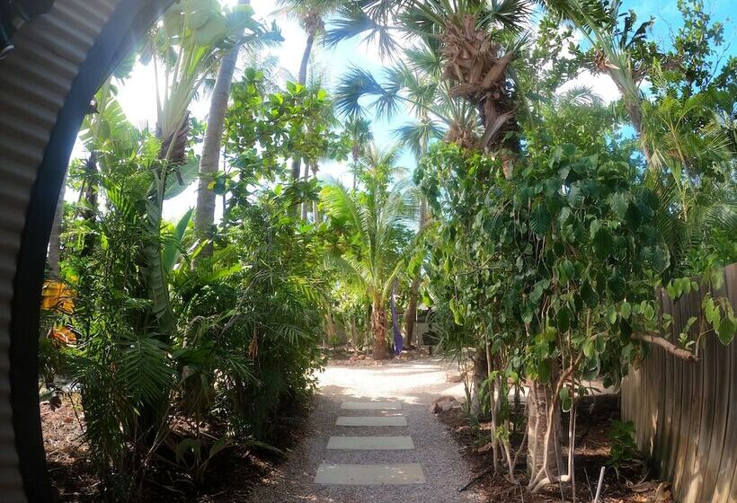 Cable Beach Backpackers   Hostel