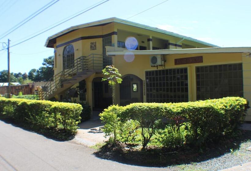 تختخواب و صبحانه Native Abode