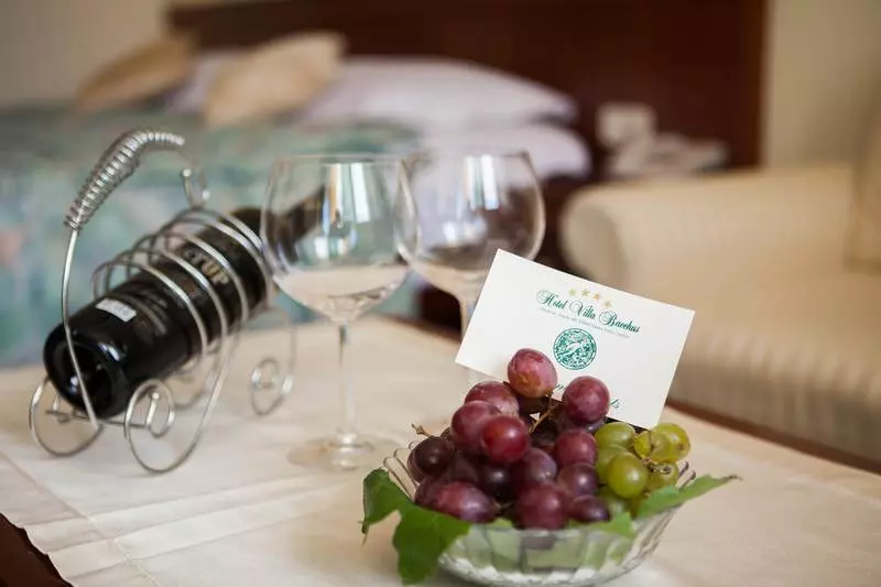 هتل Villa Bacchus