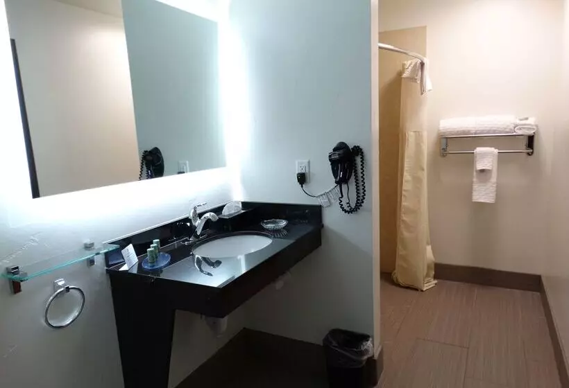 酒店 Best Western Duchesne Inn