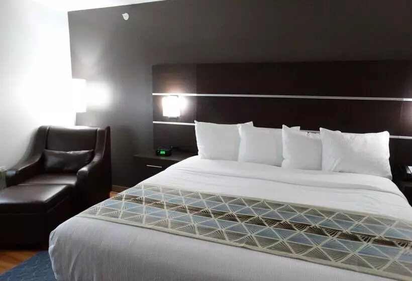 酒店 Best Western Duchesne Inn