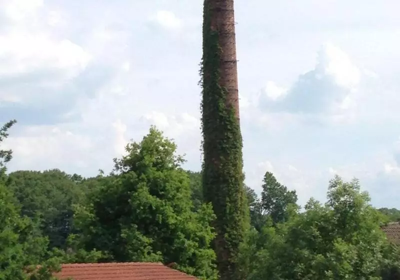 ホテル & Restaurant Zur Spreewalderin